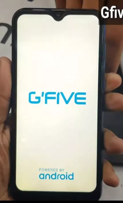 gfive President Gold 9